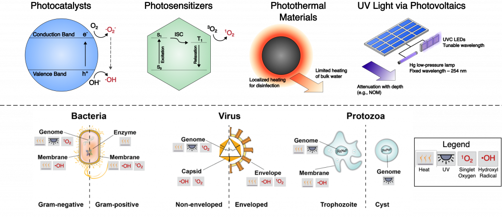 Various light enabled water treatment technologies are depicted by various simple shapes. The technologies are photocatalysis, photosensitization, photothermal materials, and UV light. These are all acting on their targets, which are bacteria, viruses, and protozoa. The diagram is depicting how these technologies generate disinfectants, while the pathogens are highlighting their various biological structures.