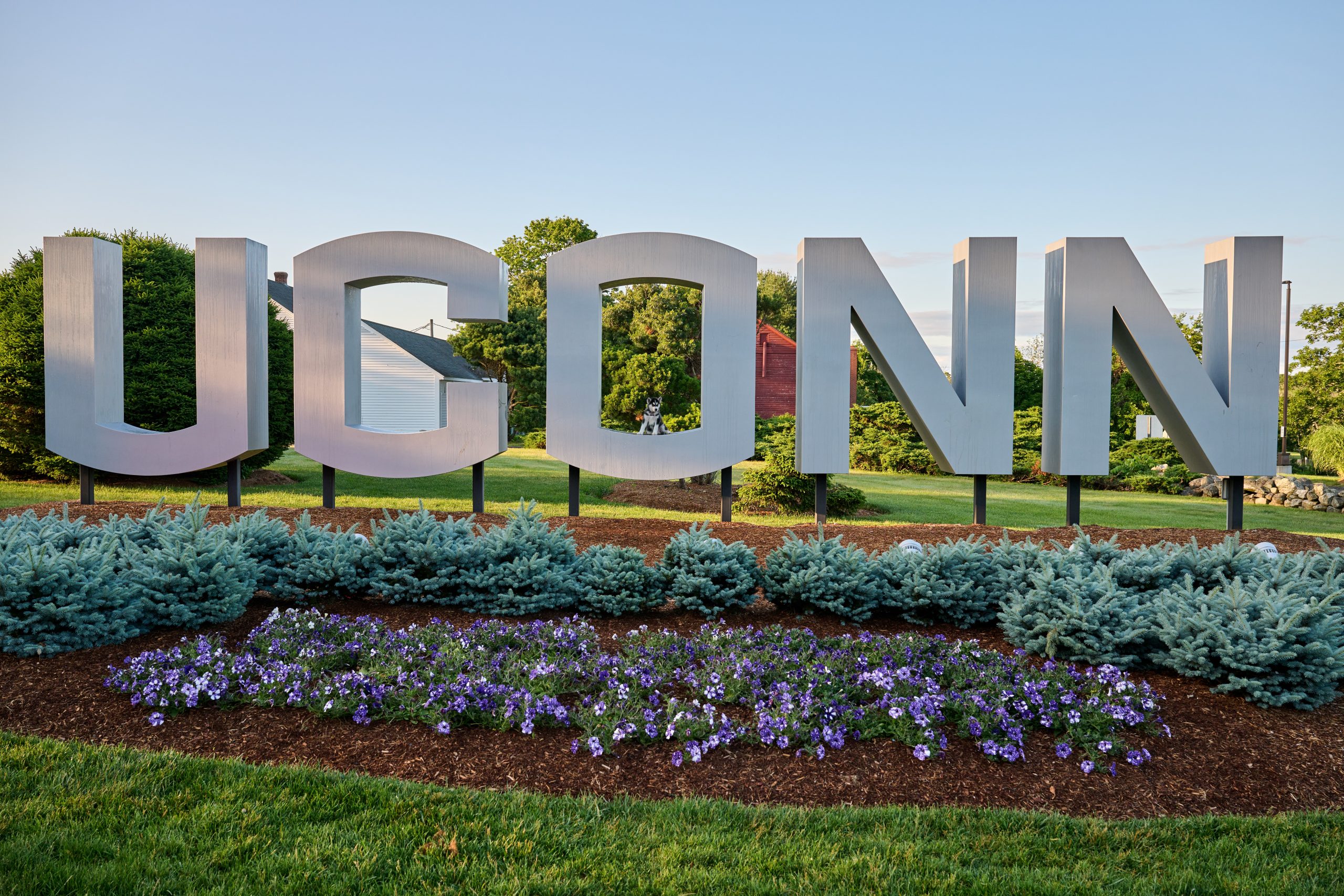 UConn campus sign with Jonathan VX 